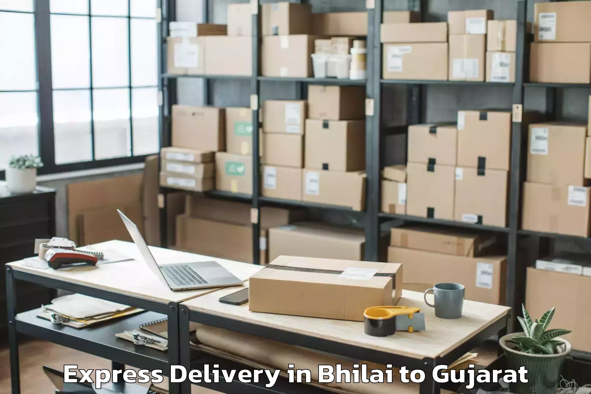 Professional Bhilai to Kadana Express Delivery